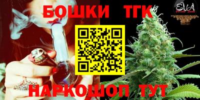индика Аша