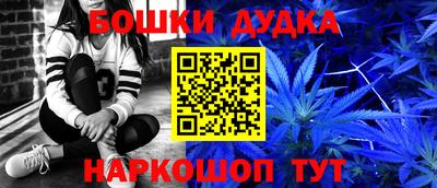 индика Аша