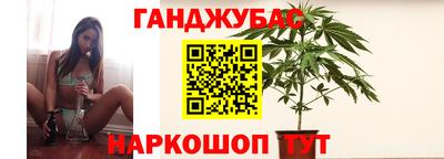 индика Аша