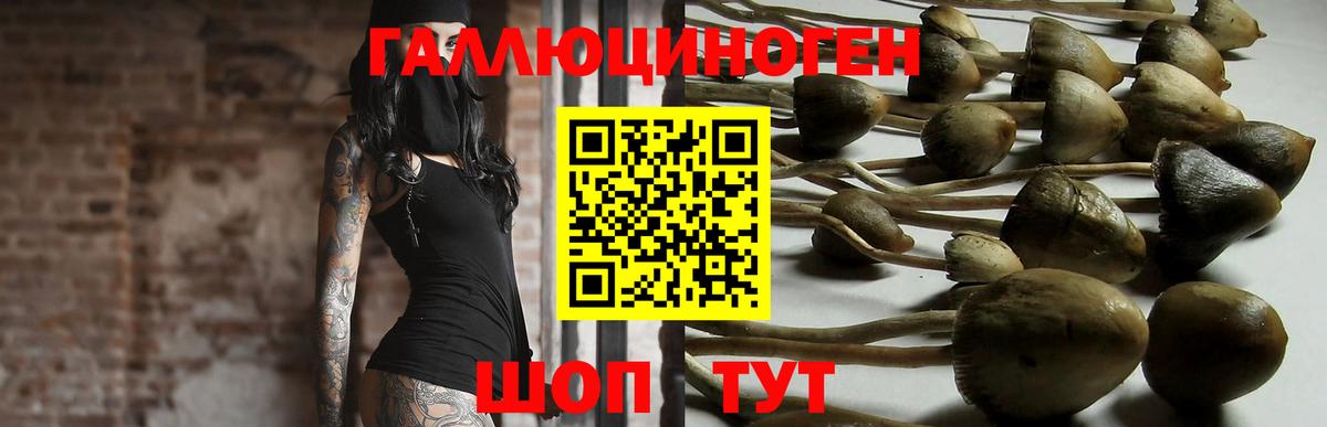 Галлюциногенные грибы GOLDEN TEACHER  Вход с VPN  Грозный 